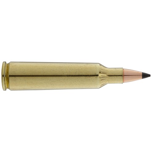 Munition Cal 22-250 Rem 55Gr Psp Winchester Bte/20