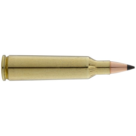 Munition Cal 22-250 Rem 55Gr Psp Winchester Bte/20