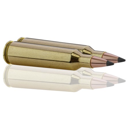 Munition Cal 22-250 Rem 55Gr Psp Winchester Bte/20