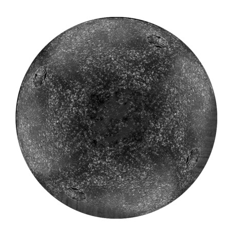 Munition Cal 12/67 Concorde Defender Balle Elastomere Bior Blister/5